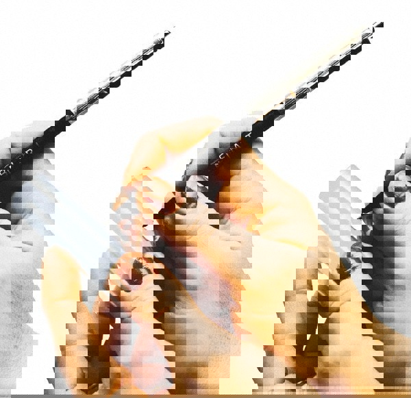 Glascribe Pen Scriber: 5-1/4